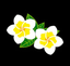 Bypass Paywalls Clean logo