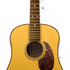 Realguitar logo