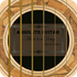 Absolute Guitar logo