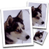 SmillaEnlarger logo