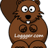 Speed Test Loggger logo